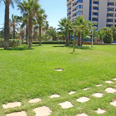 Apartup Patacona Iconic Ii *